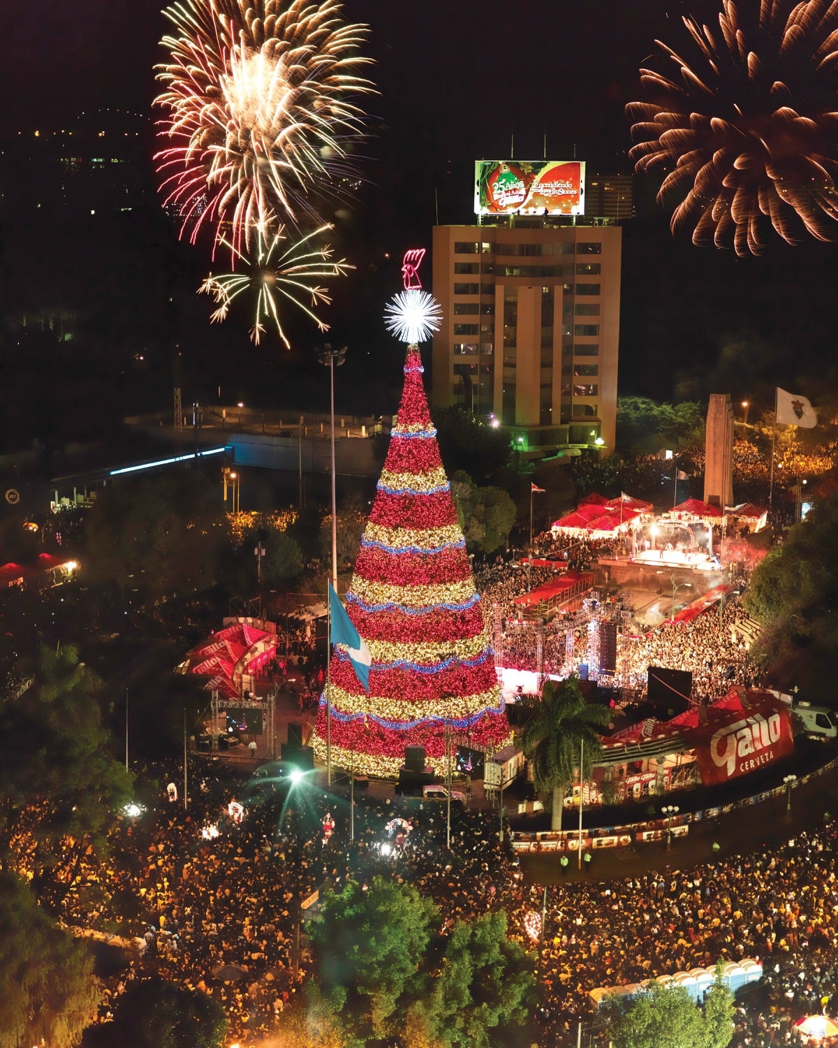 ¡Árbol Gallo cumple 37 años de encender el espíritu navideño! El Sol