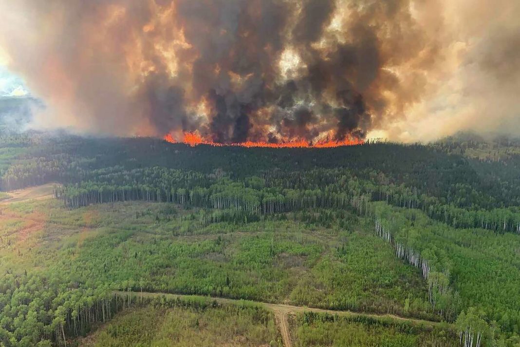 Incendios forestales en Canadá no hacen más que expandirse El Sol de